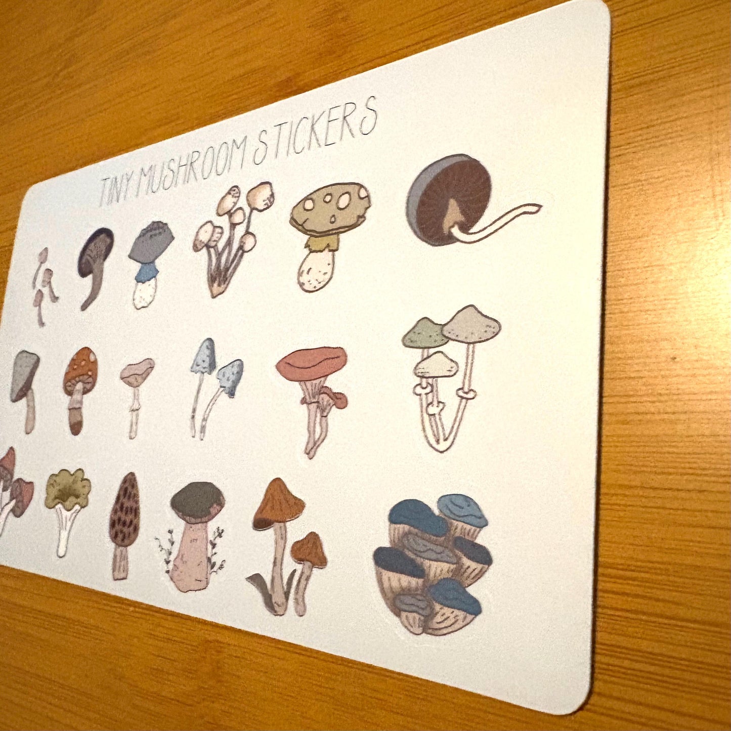 tiny mushrooms sticker sheet glossy vinyl stickers for rewards, party favors, collecting, crafts, charts, 18 stickers