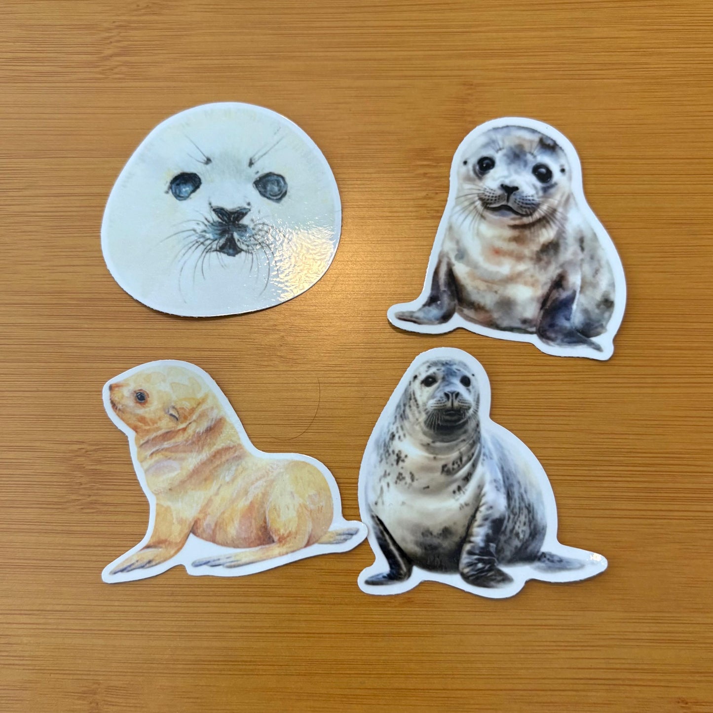 adorable watercolor seal & sea lion sticker pack glossy durable vinyl laptop water bottle decal