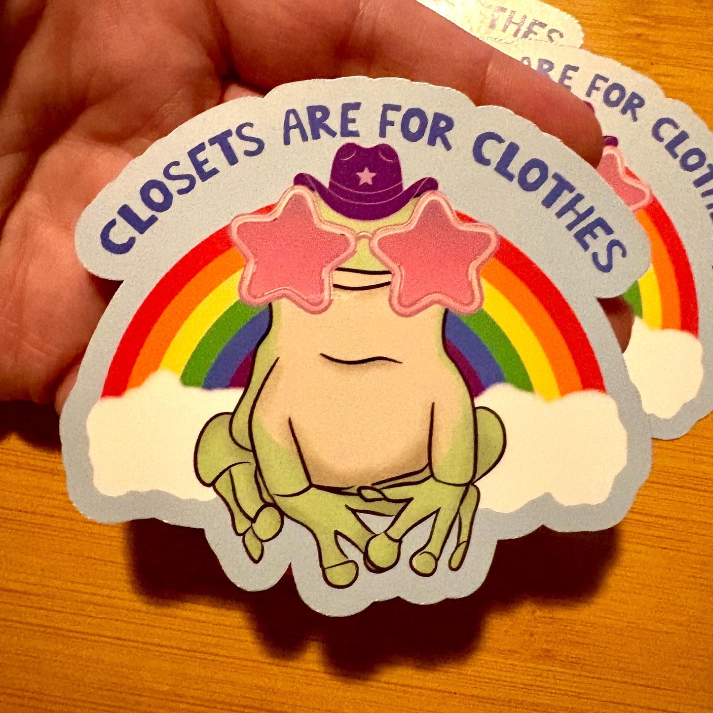 closets are for clothes gay frog pride sticker glossy vinyl laptop water bottle sticker decal