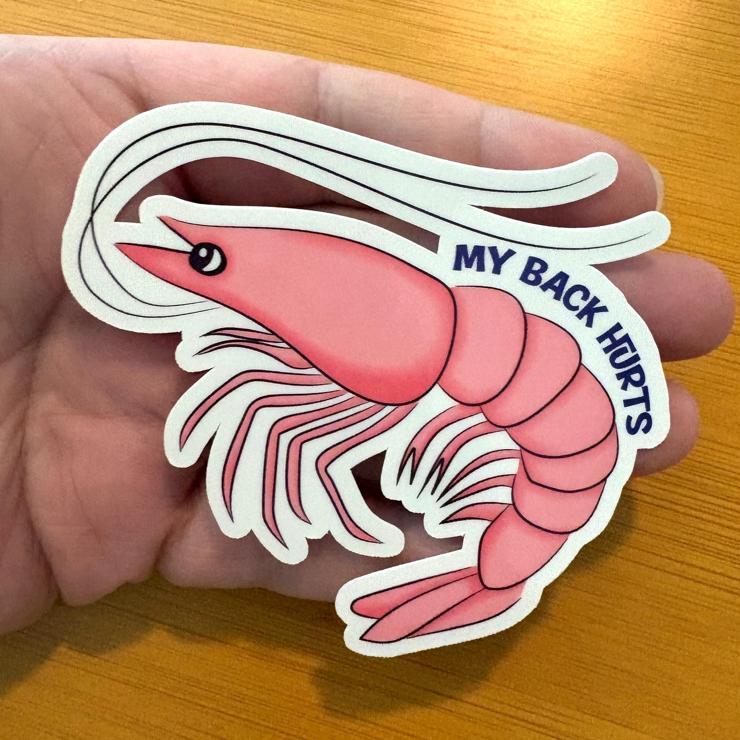 my back hurts shrimp 3” glossy vinyl laptop water bottle sticker decal