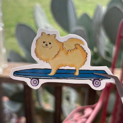 pomeranian on a skateboard sticker durable glossy vinyl laptop water bottle decal