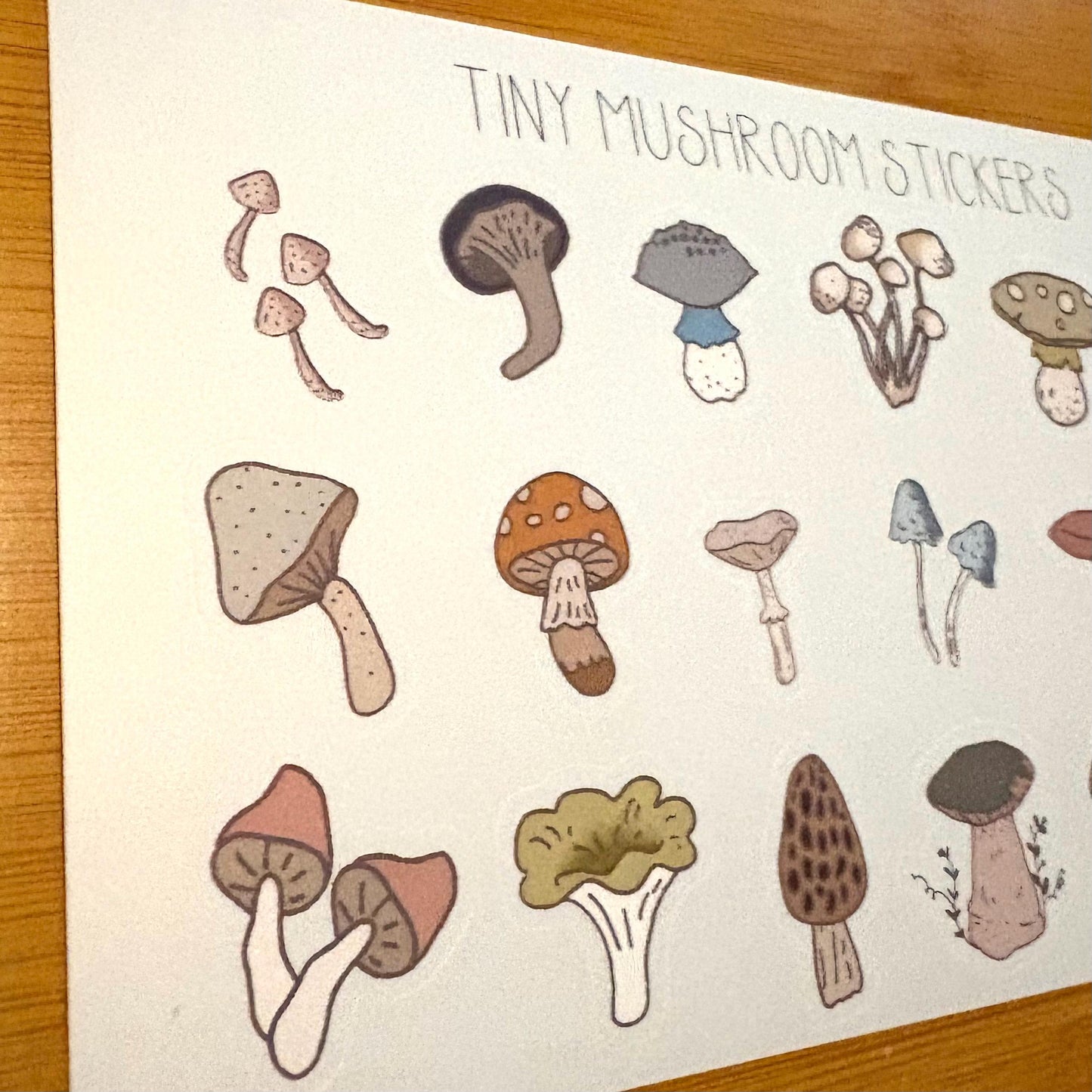 tiny mushrooms sticker sheet glossy vinyl stickers for rewards, party favors, collecting, crafts, charts, 18 stickers