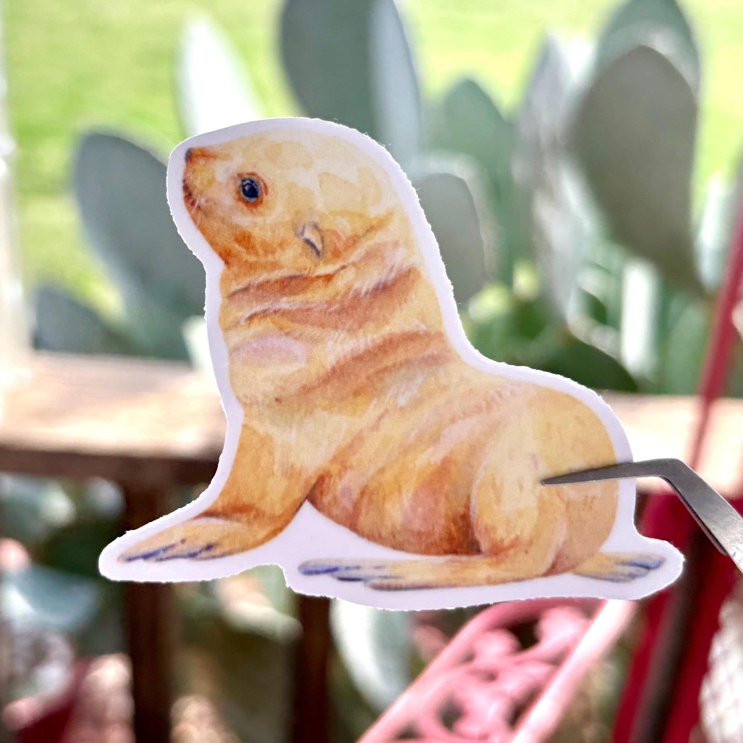 adorable watercolor seal & sea lion sticker pack glossy durable vinyl laptop water bottle decal