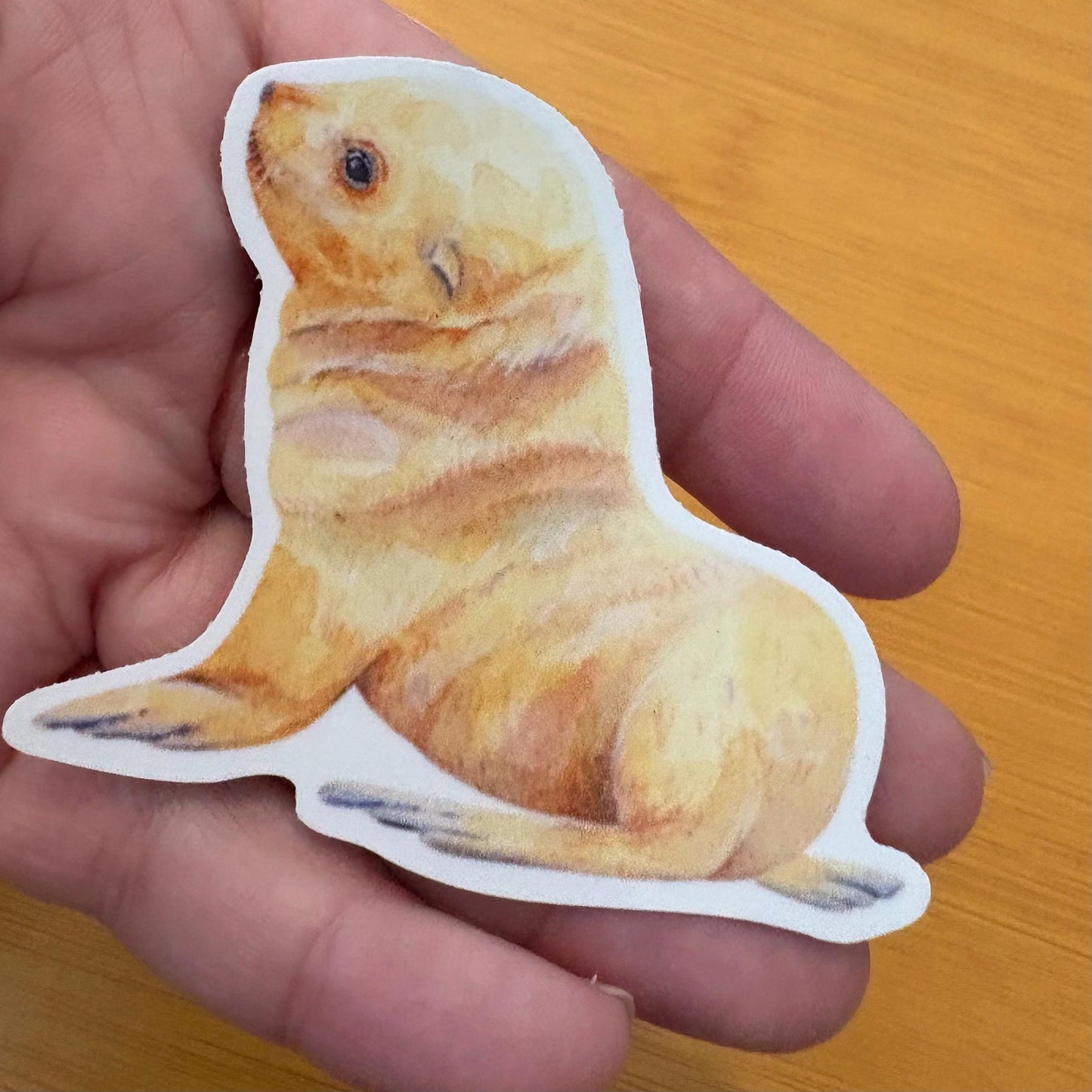 adorable watercolor seal & sea lion sticker pack glossy durable vinyl laptop water bottle decal