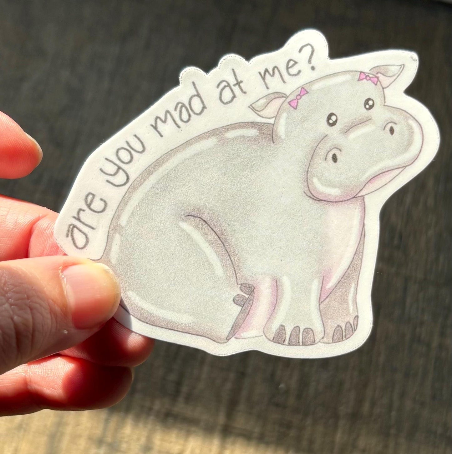 Are you mad at me? Hippo 3” matte vinyl sticker