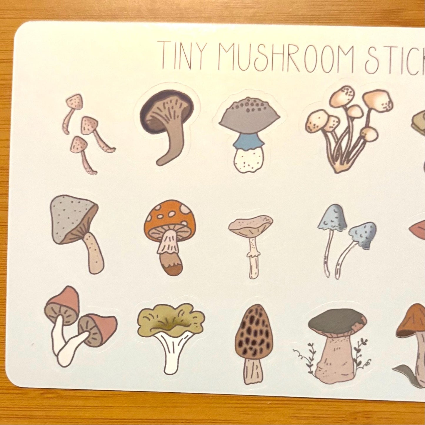 tiny mushrooms sticker sheet glossy vinyl stickers for rewards, party favors, collecting, crafts, charts, 18 stickers