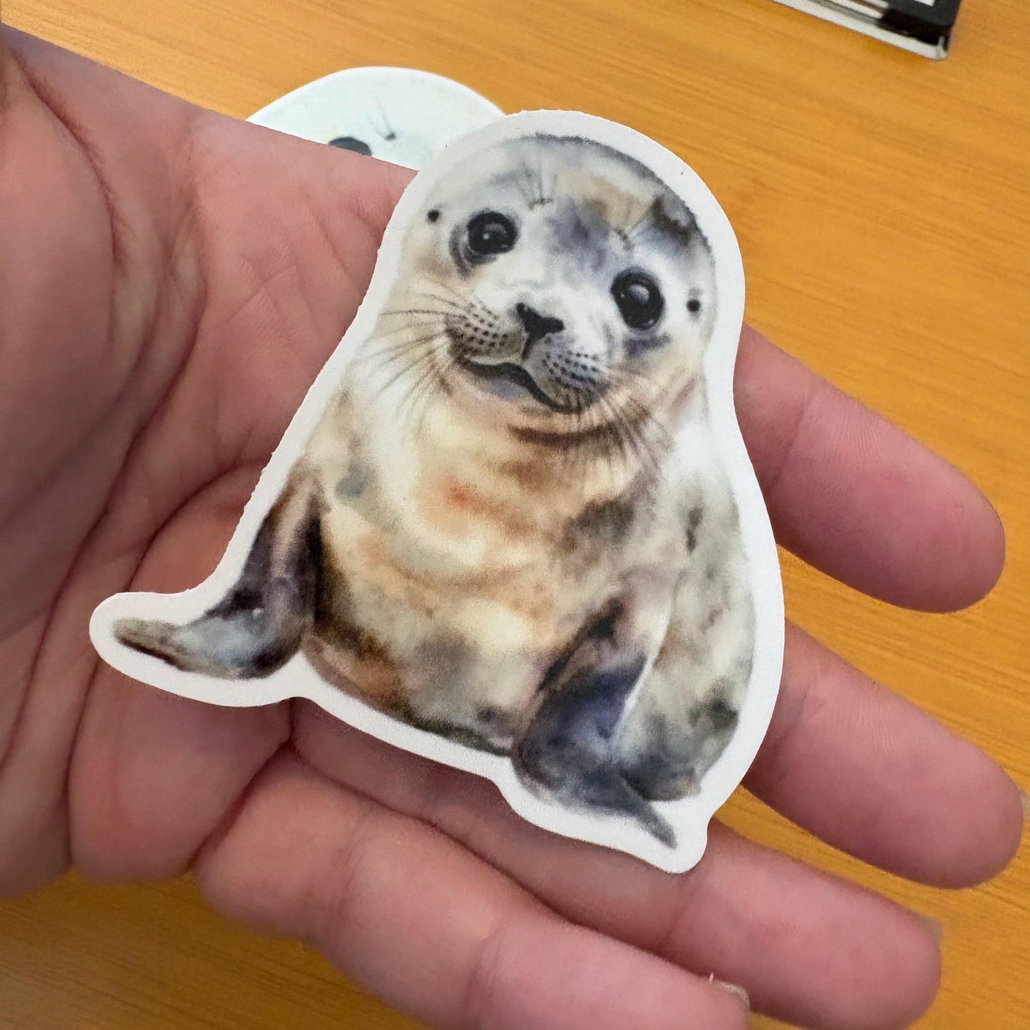 adorable watercolor seal & sea lion sticker pack glossy durable vinyl laptop water bottle decal