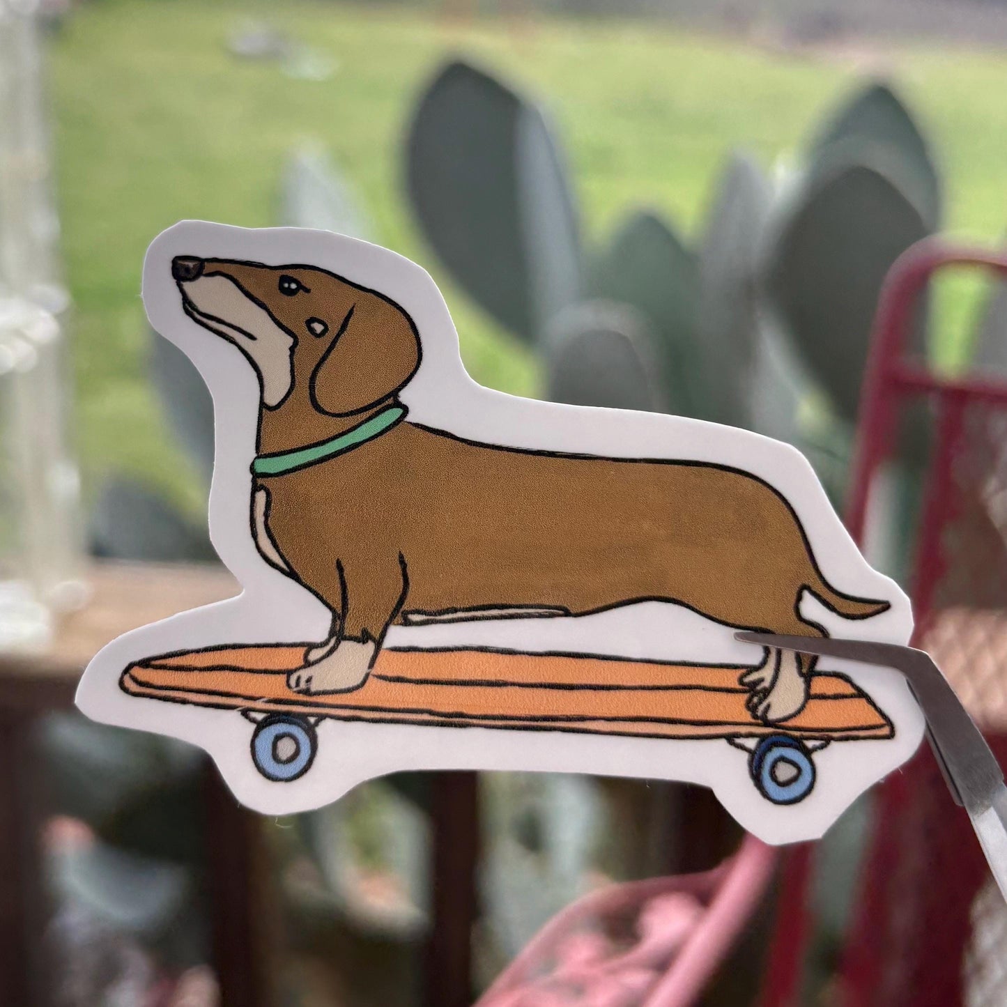 Weenie dog on a skateboard “adios muchachos” durable glossy vinyl laptop water bottle decal