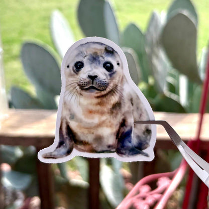 adorable watercolor seal & sea lion sticker pack glossy durable vinyl laptop water bottle decal