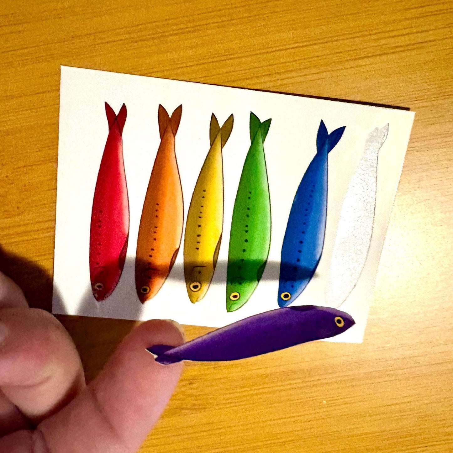 rainbow sardine sticker sheet glossy vinyl stickers