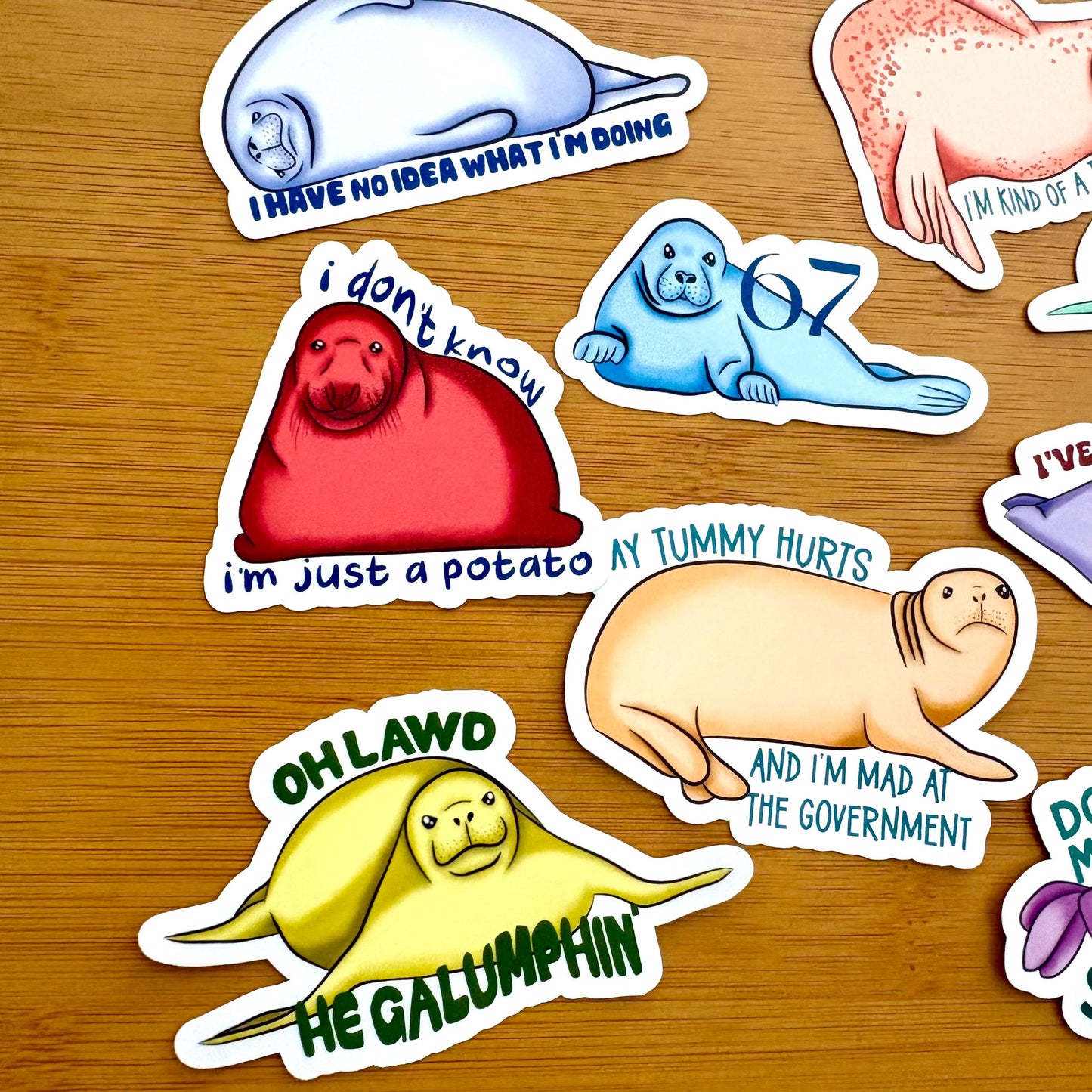 seal party 3 sticker pack glossy vinyl laptop water bottle decal