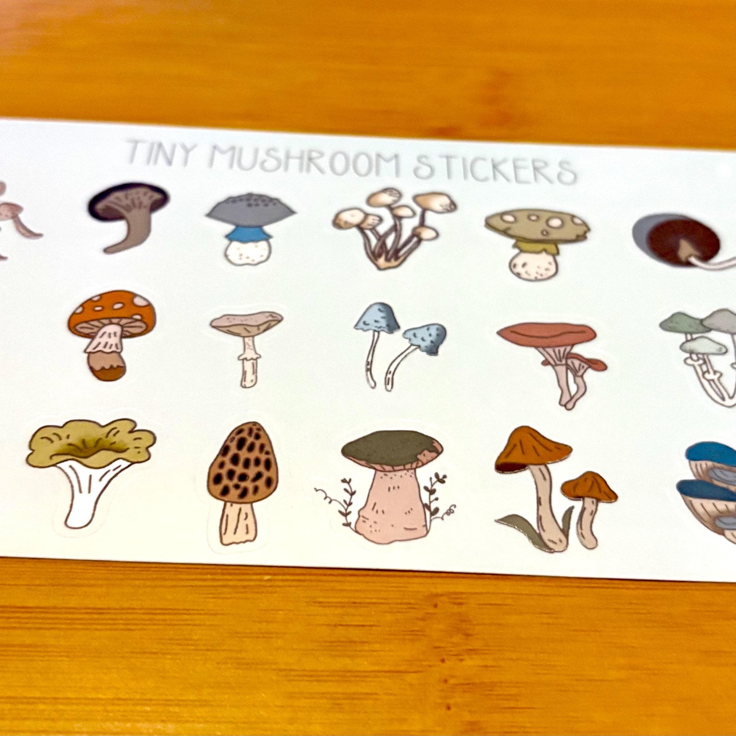 tiny mushrooms sticker sheet glossy vinyl stickers for rewards, party favors, collecting, crafts, charts, 18 stickers
