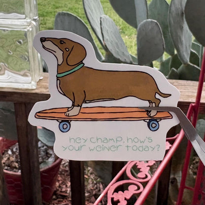 Weenie dog on a skateboard “adios muchachos” durable glossy vinyl laptop water bottle decal