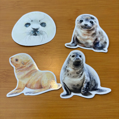 adorable watercolor seal & sea lion sticker pack glossy durable vinyl laptop water bottle decal