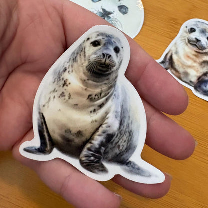 adorable watercolor seal & sea lion sticker pack glossy durable vinyl laptop water bottle decal