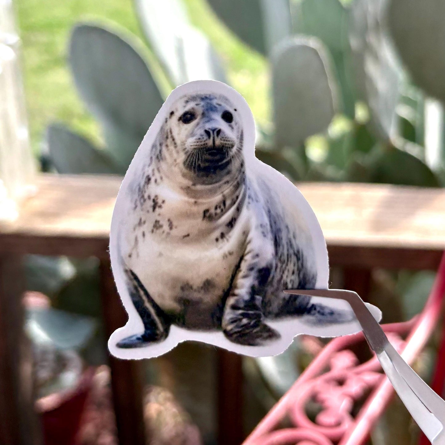adorable watercolor seal & sea lion sticker pack glossy durable vinyl laptop water bottle decal