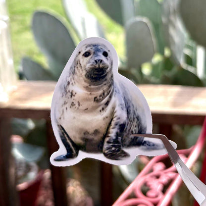 adorable watercolor seal & sea lion sticker pack glossy durable vinyl laptop water bottle decal