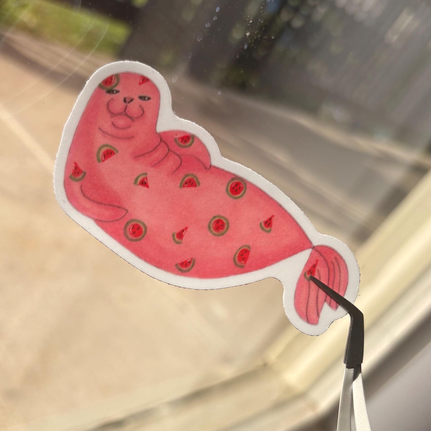 fruity rainbow seal sticker pack matte vinyl laptop water bottle decal